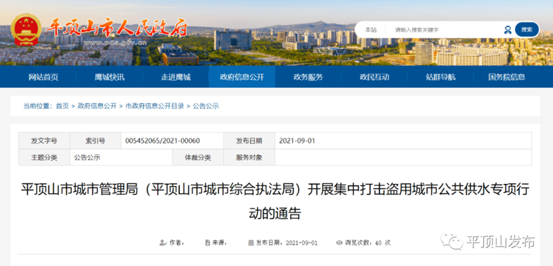 揭秘站群程序背后的商业逻辑与挑战