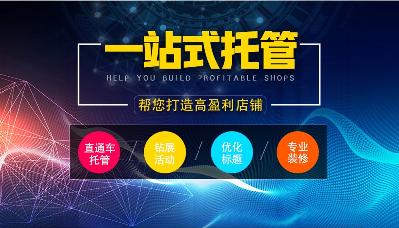 SEO站群：网站优化的新天地