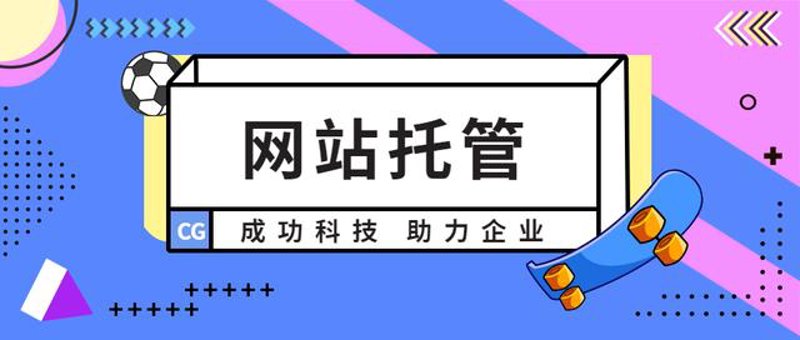 AI站群程序在网络营销中的应用与探讨
